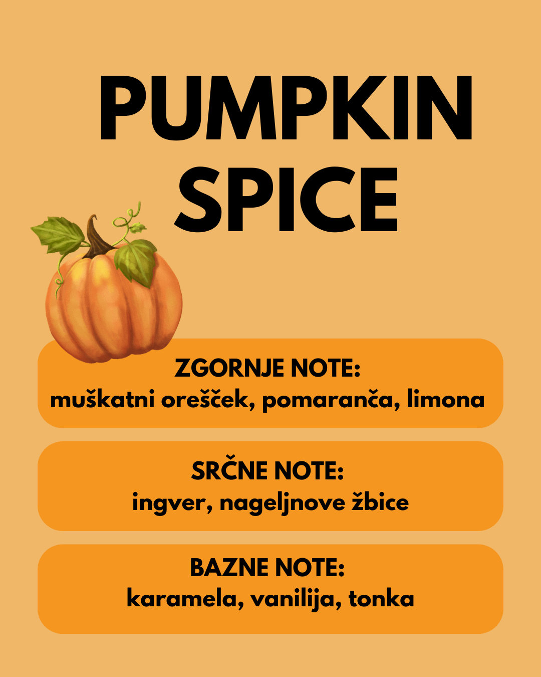 ZUCCA SPEZIATA (edizione speciale)