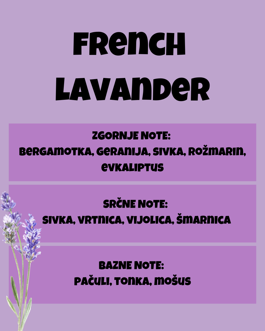 FRENCH LAVANDER