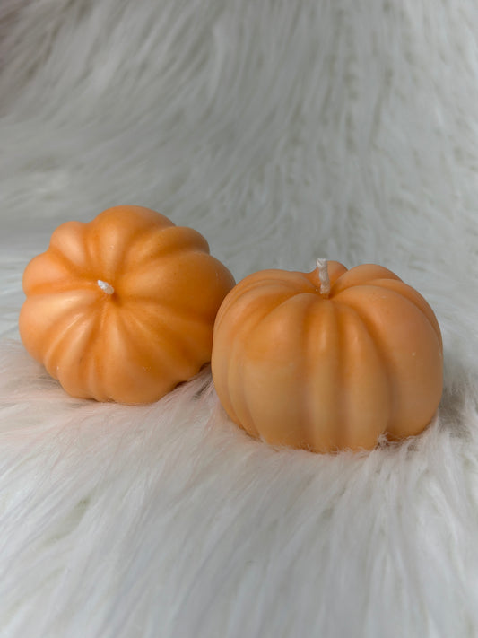 ZUCCA